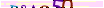 animated captcha