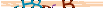 animated captcha